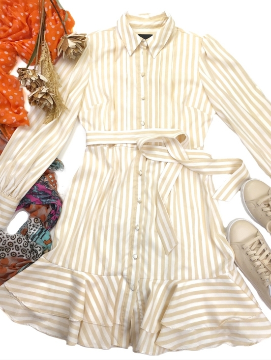 New Striped Cream Striped  and White Button-Front Peplum Belted dress Sz 4 - Picture 11 of 11